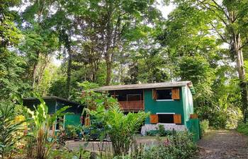 Green Jungle House