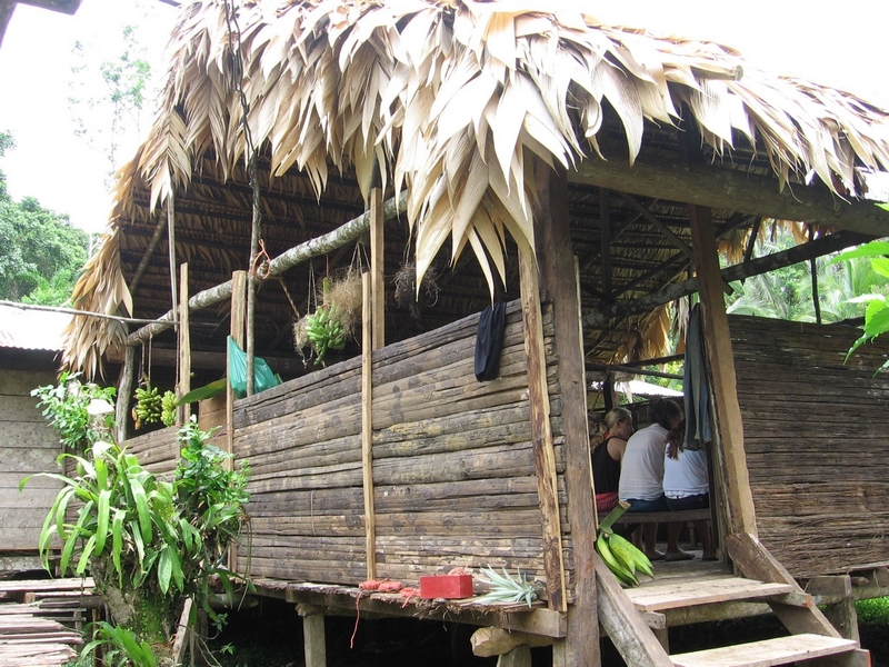 The BriBri people have lived in the jungle in this area for millenia and have discovered how to live in harmony with nature.