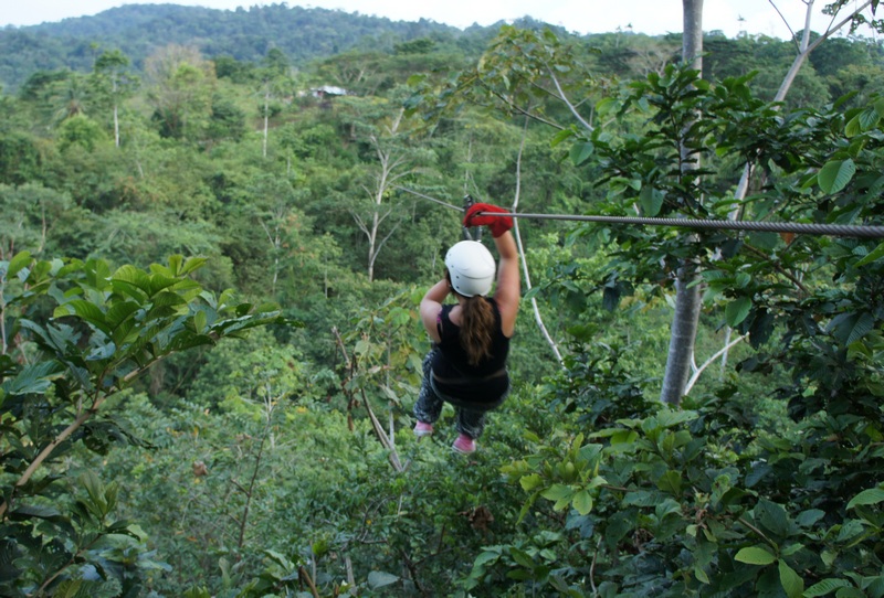 Zipline tours through the jungle canopy are an exciting way to see nature and give you a unique viewpoint from up in the trees.