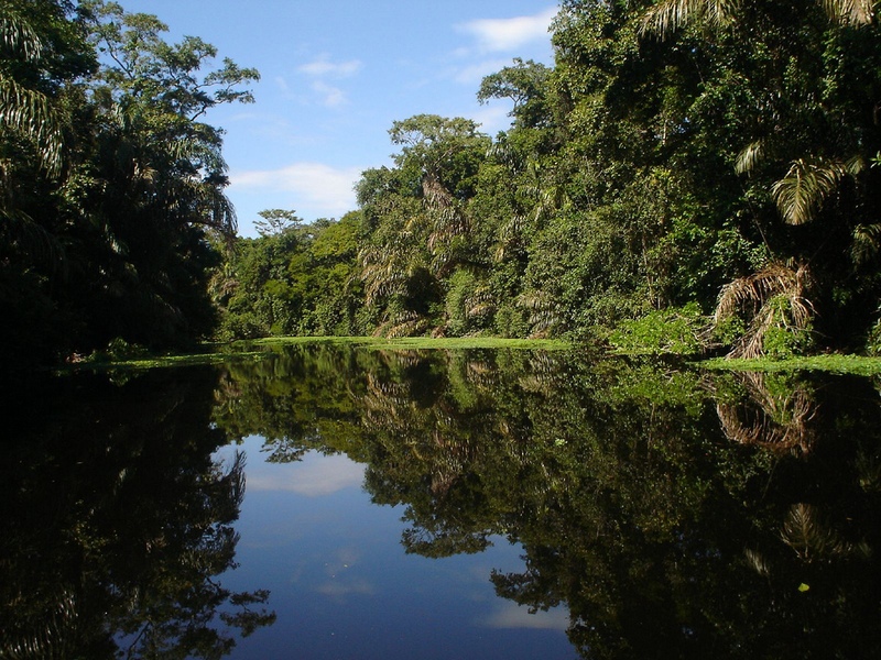 Getting to Tortuguero via the canals is part of the adventure