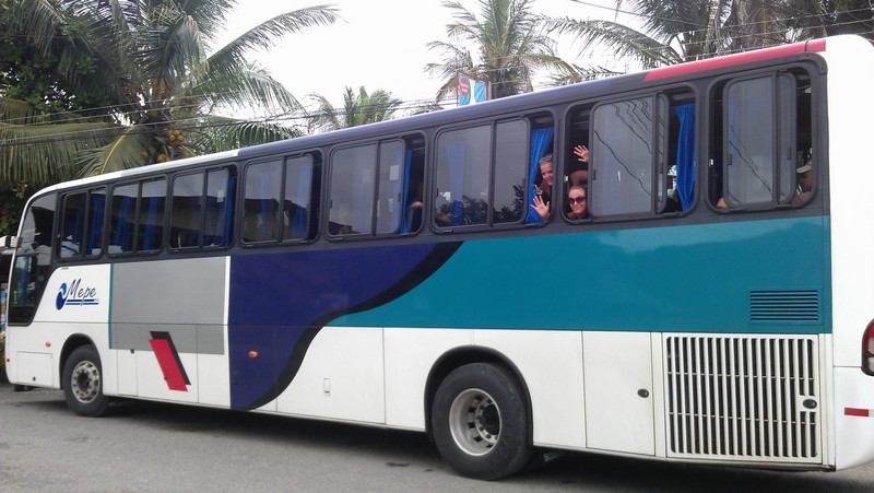 modern buses