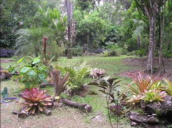 Finca La Isla Botanical Garden