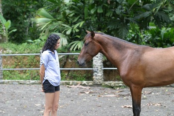 Conscious Equine Connections