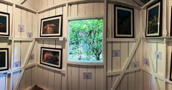 La Casa del Coral La Casa del Coral