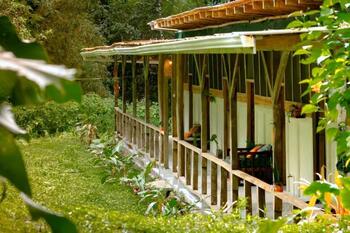 Smile Jungle Hostel Smile Jungle Hostel