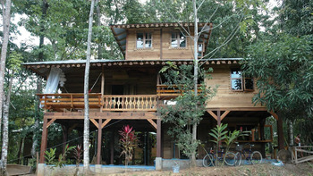 Casa De La Trepada Casa De La Trepada